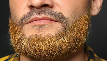 Beard Color